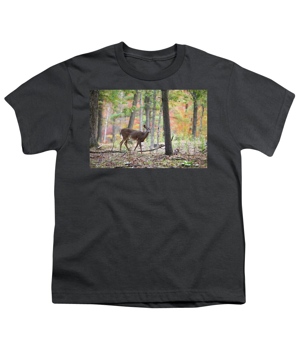Whitetail Deer Youth T-Shirt featuring the photograph Whitetail Doe #1 by Brook Burling