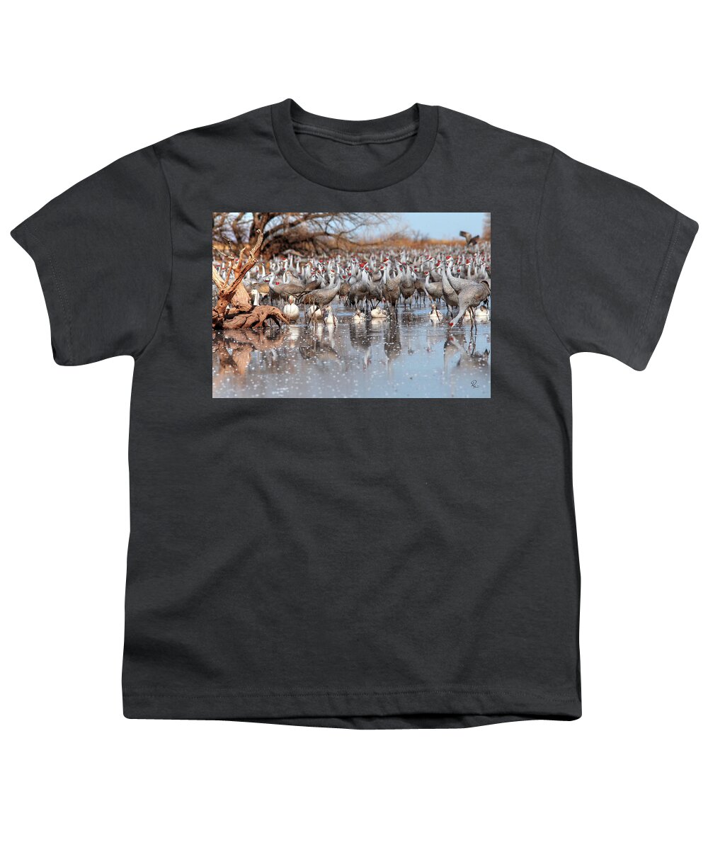 Wildlife Youth T-Shirt featuring the photograph Whitewater Draw 2436 by Robert Harris