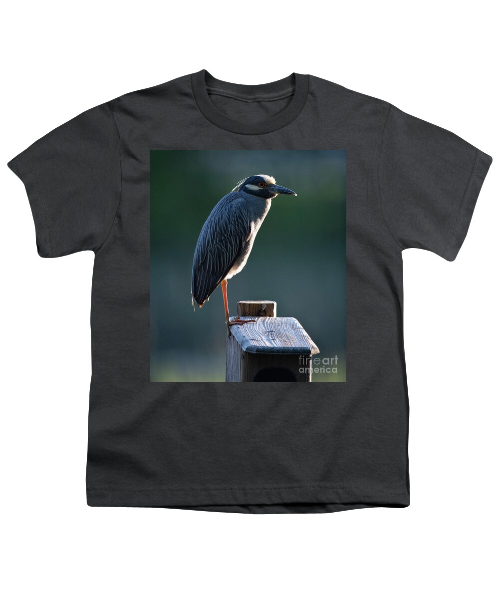 Yellow Crowned Night Heron Youth T-Shirt featuring the photograph Nyctanassa Violacea - Yellow Crowned Night Heron by Dale Powell