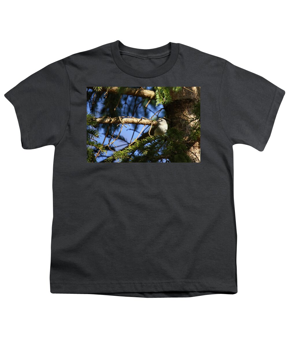 Gold Crowned Kinglet Youth T-Shirt featuring the photograph Gold Crowned Kinglet #2 by Brook Burling