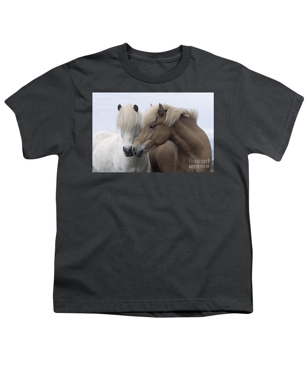 Affection Youth T-Shirt featuring the photograph Icelandic Horses by John Daniels