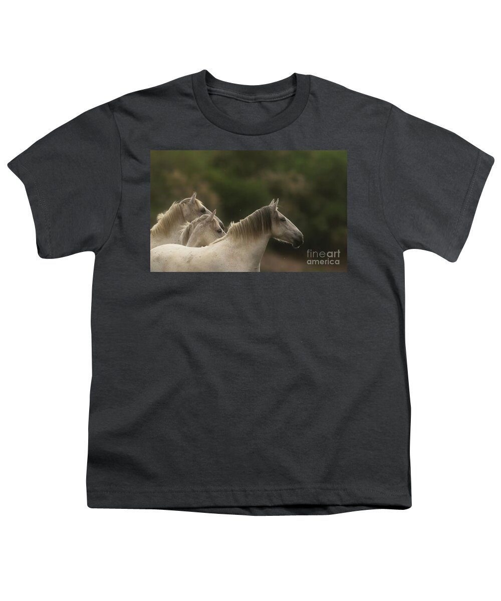 Salt River Wild Horses Youth T-Shirt featuring the photograph 3 by Shannon Hastings