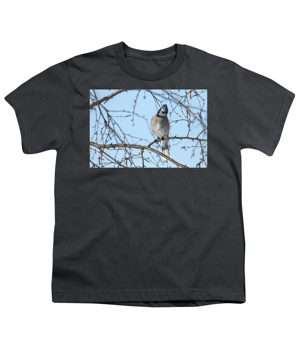 Bluejay Youth T-Shirt featuring the photograph Blue Jay #7 by Brook Burling