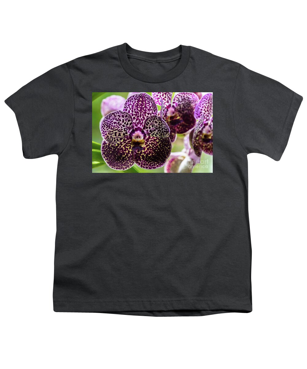 Ascda Kulwadee Fragrance Youth T-Shirt featuring the photograph Spotted Vanda Orchid Flowers #7 by Raul Rodriguez