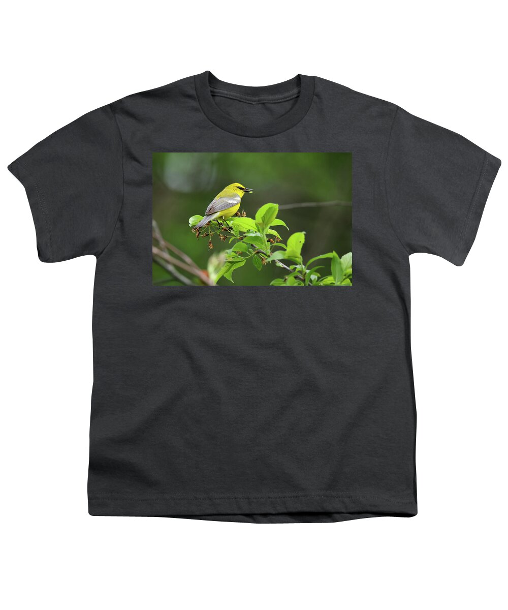 Bird Youth T-Shirt featuring the photograph Blue Winged Warbler #8 by Brook Burling