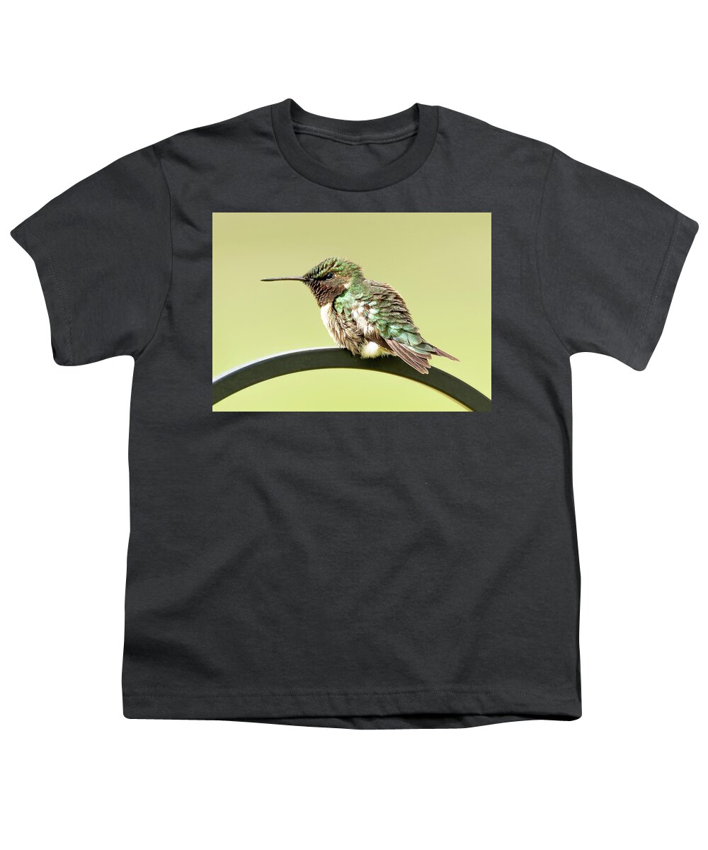 Hummingbird Youth T-Shirt featuring the photograph Hummingbird #9 by Holden The Moment