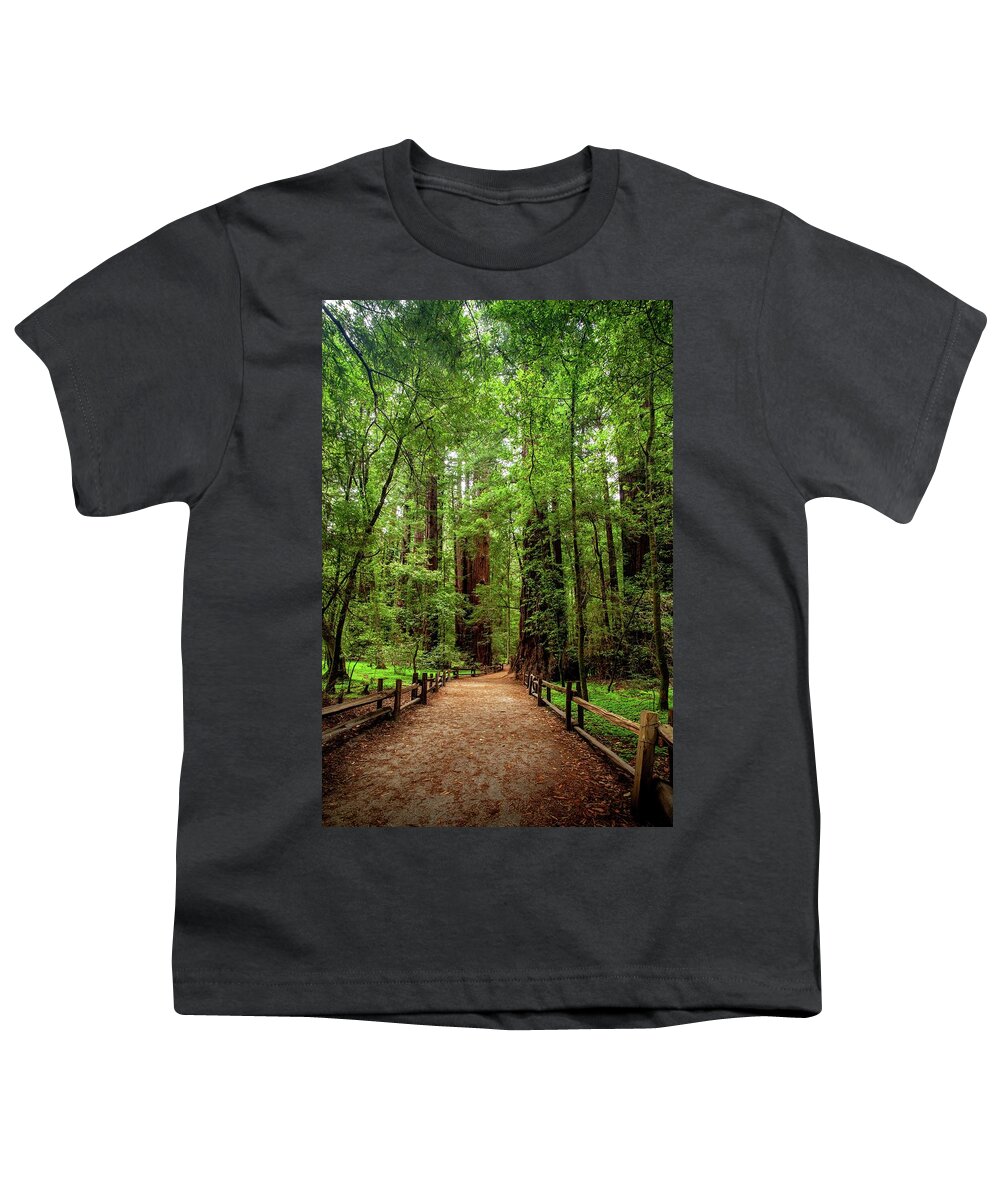 Redwoods Youth T-Shirt featuring the photograph A Walk in the Tall Trees by Harold Rau