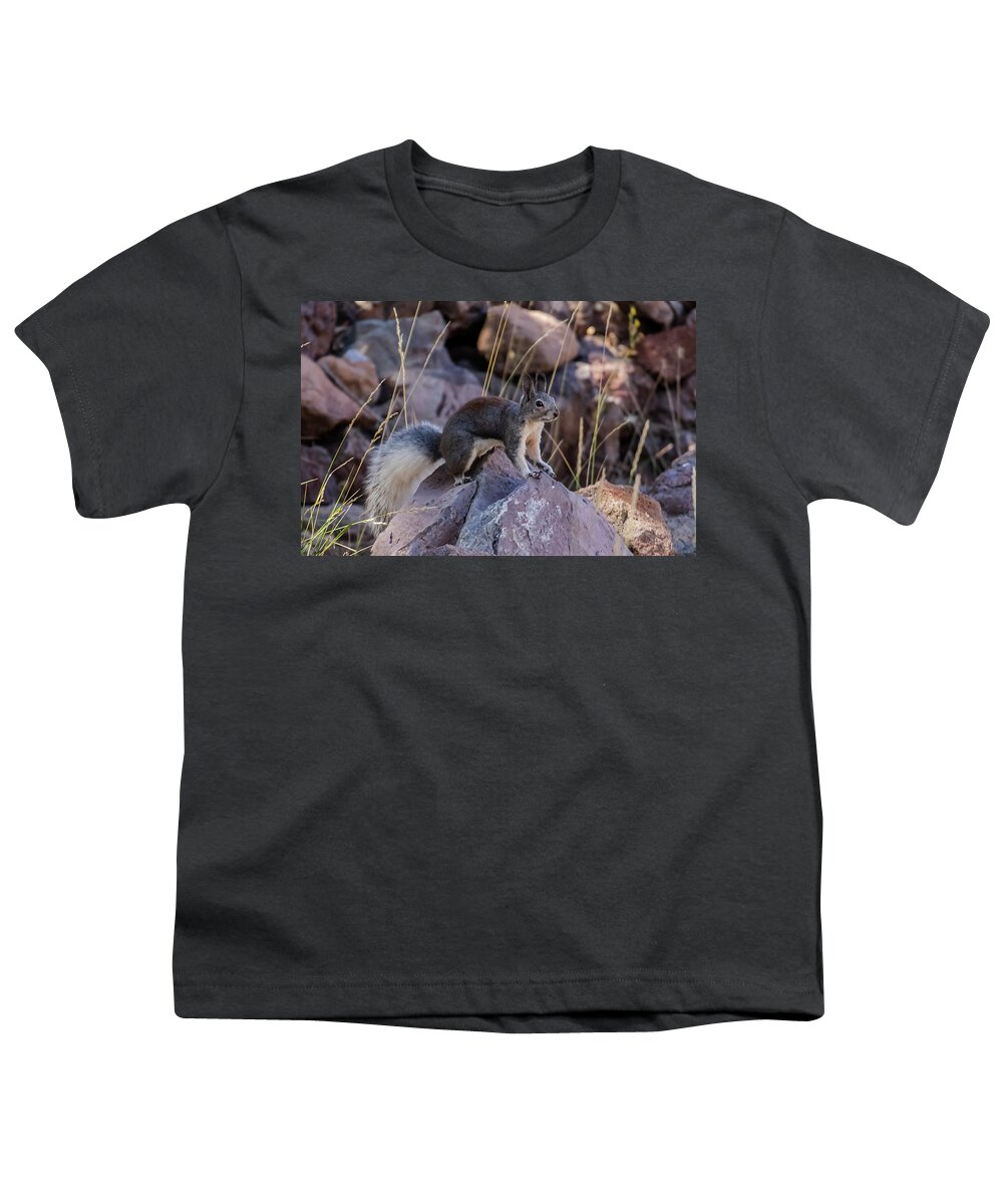 Squirrel Youth T-Shirt featuring the photograph Abert's Squirrel by Laura Putman