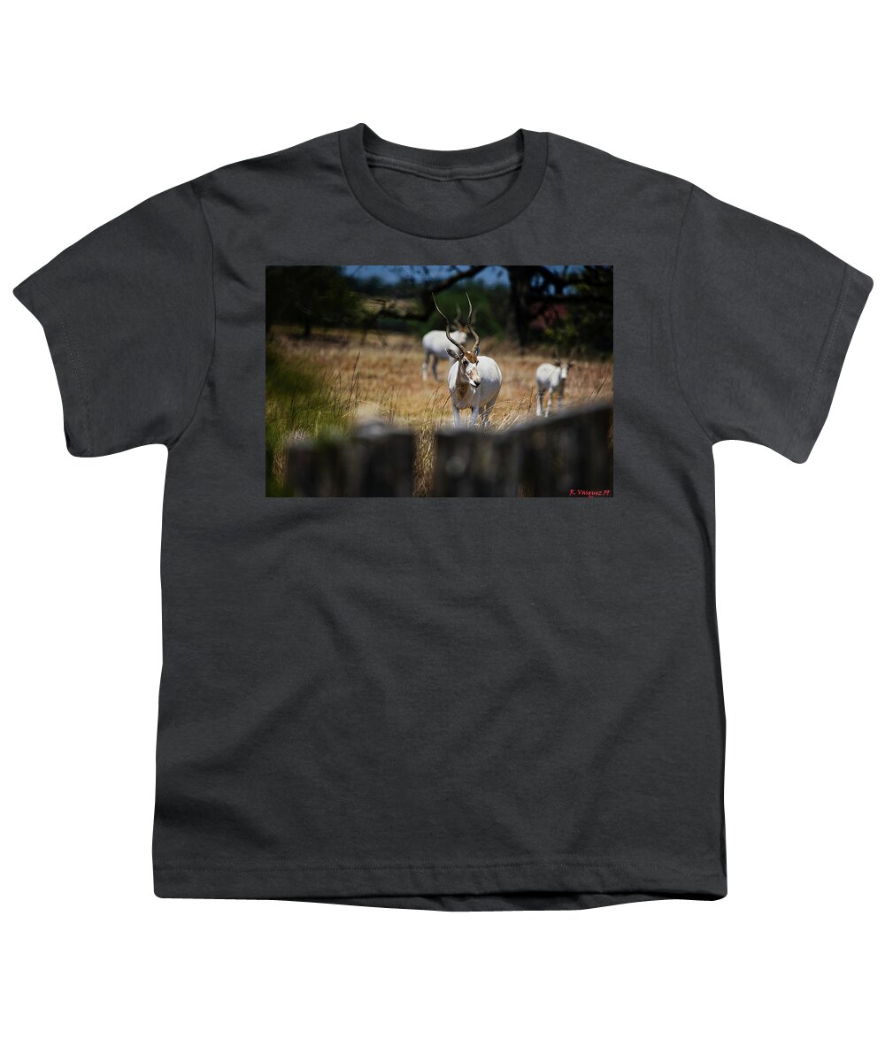 Addax Youth T-Shirt featuring the photograph Addax Antelope by Rene Vasquez