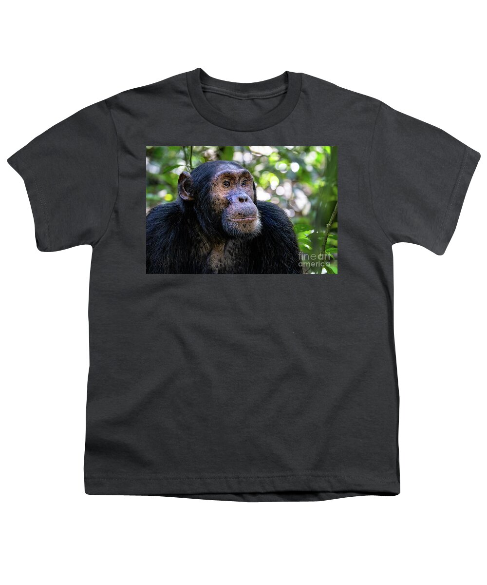 Chimpanzee Youth T-Shirt featuring the photograph Adult chimpanzee, pan troglodytes, in the tropical rainforest of Kibale National Park, western Uganda. The park conservation programme means that some troupes are habituated. by Jane Rix