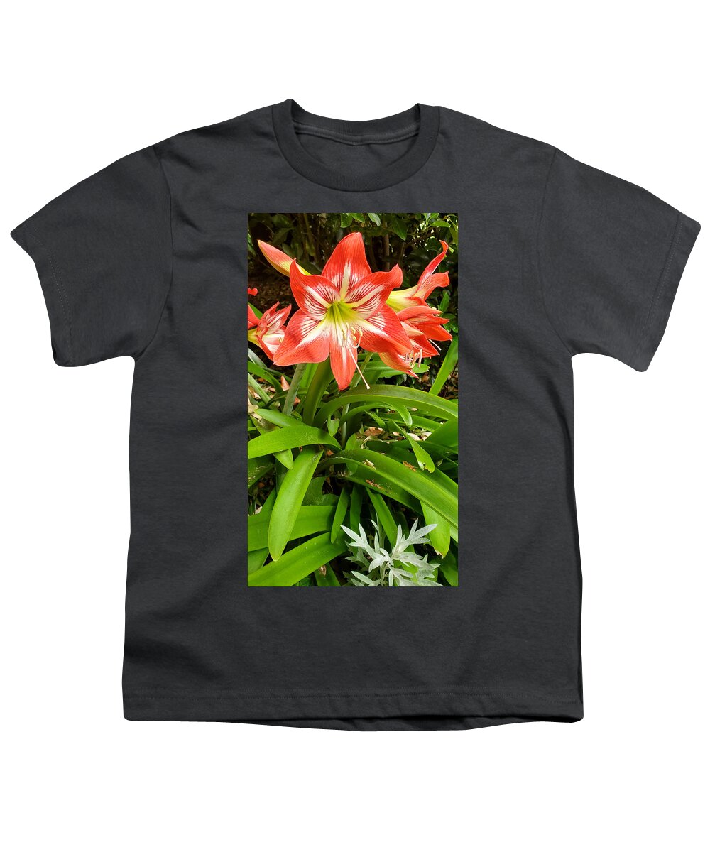 Amaryllis Minerva Youth T-Shirt featuring the photograph Amaryllis Minerva Blooms by Kenny Glover