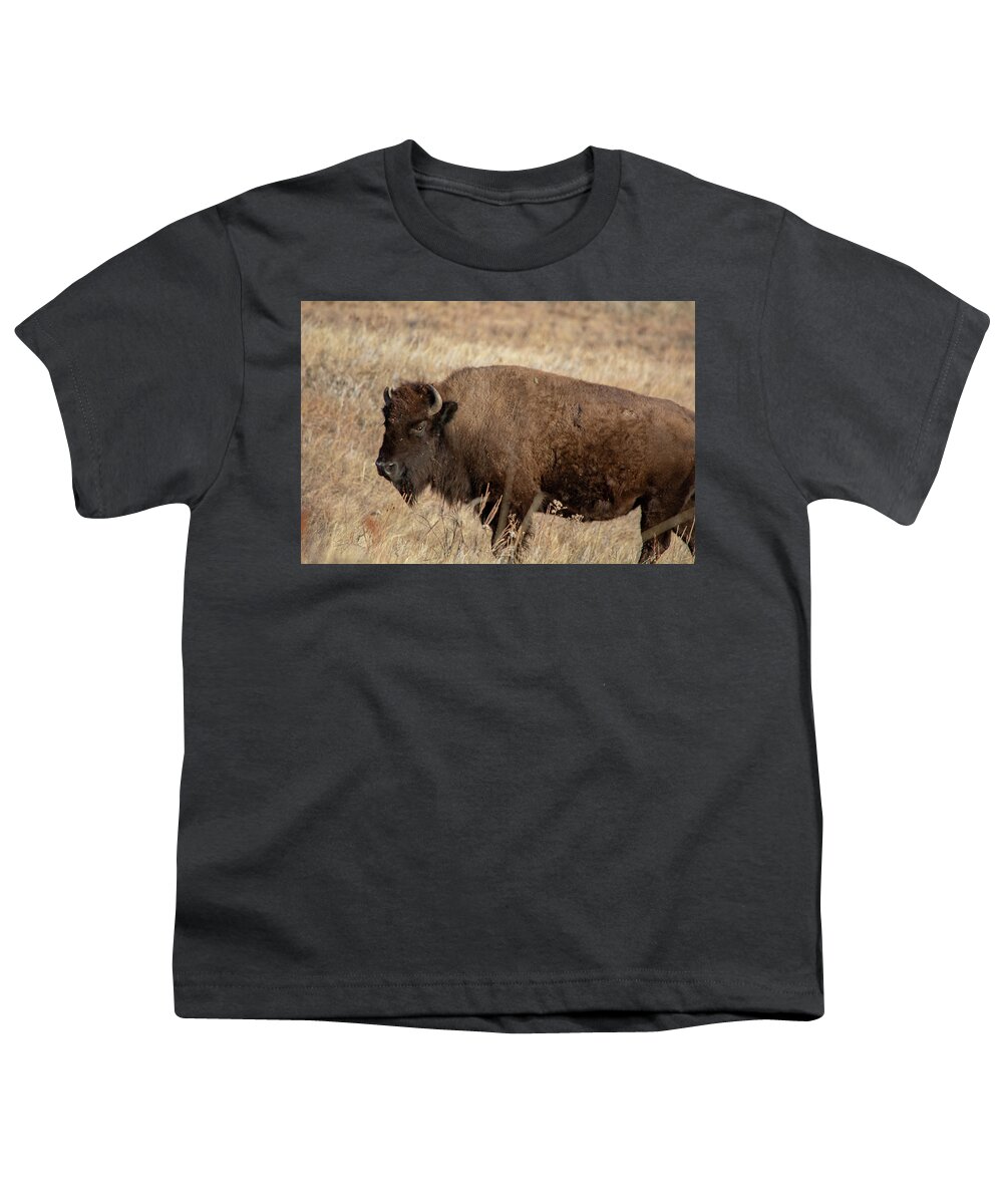 American Bison Youth T-Shirt featuring the photograph American Bison South Dakota by Kyle Hanson