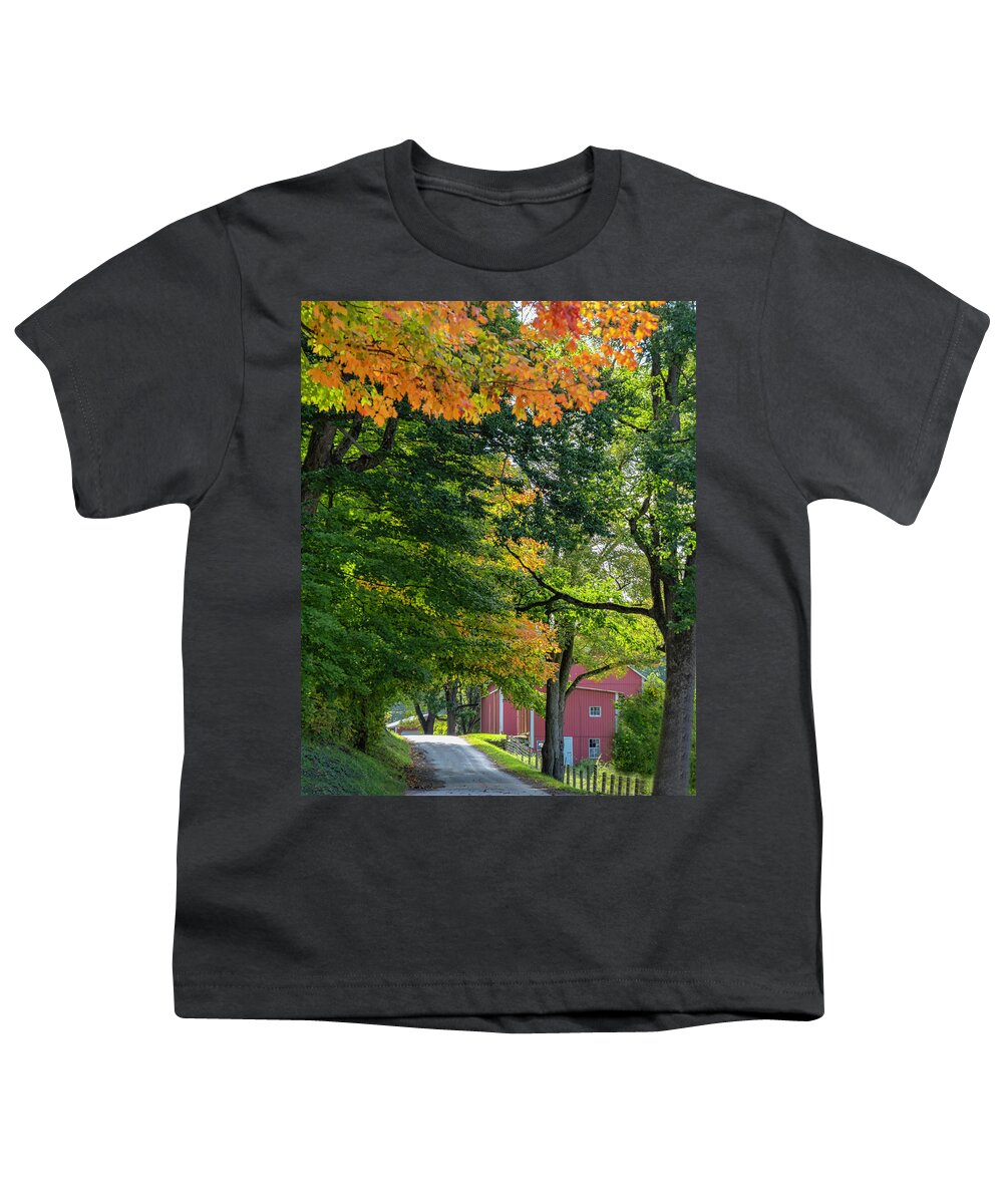 Amish Youth T-Shirt featuring the photograph Amish Country Road by Roberta Kayne