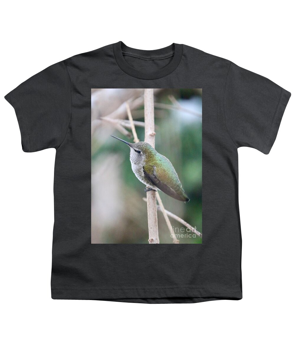 Hummingbird Youth T-Shirt featuring the photograph Anna's Hummingbird on Branch by Carol Groenen