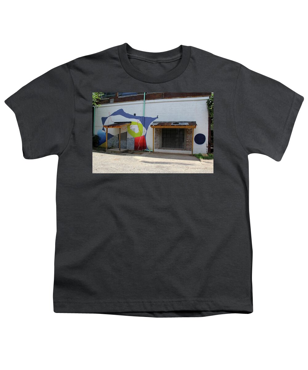Atlanta Goat Farm Youth T-Shirt featuring the photograph Artist's Studio - Atlanta Goat Farm by Richard Krebs