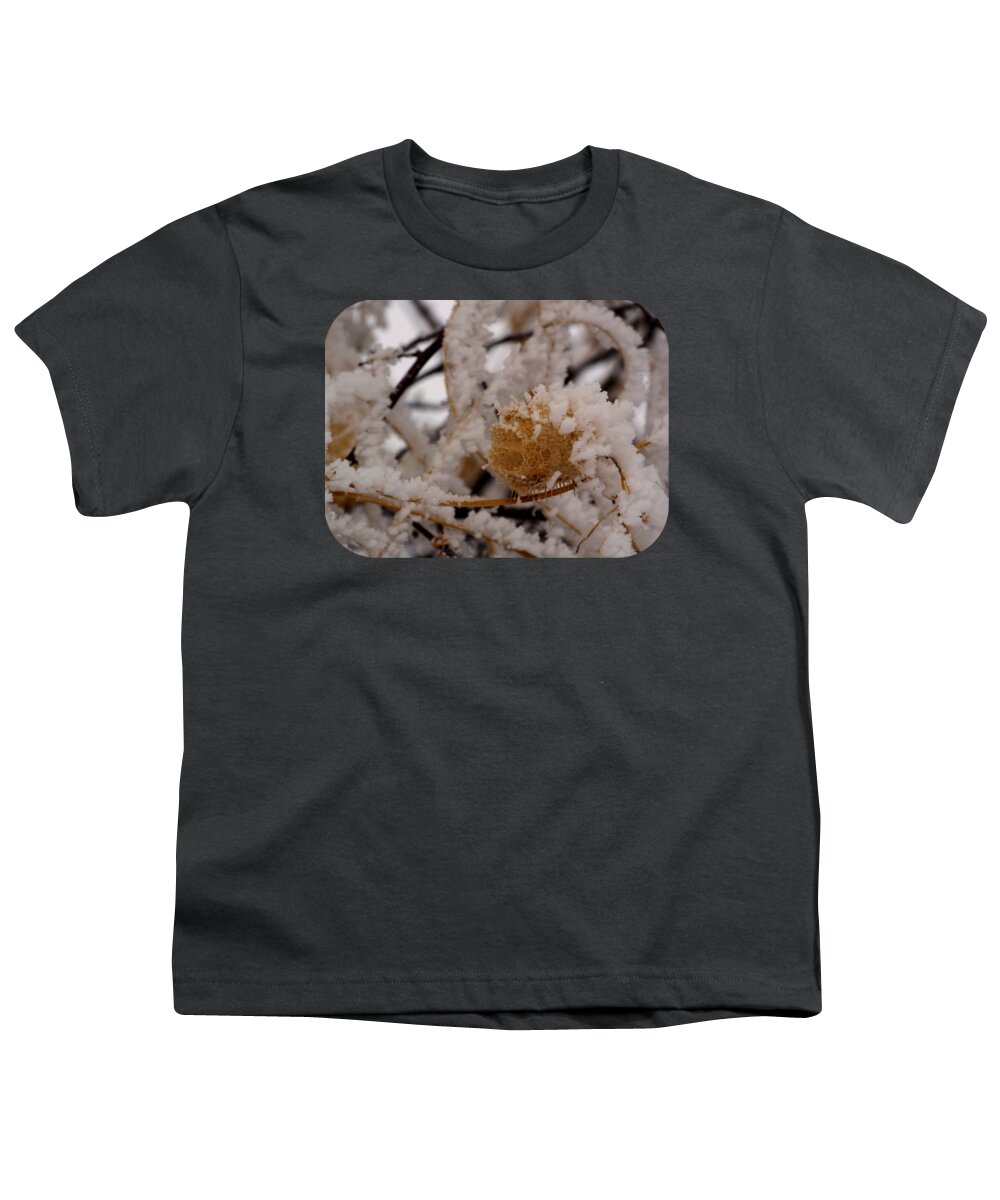 Wild Cucumber In Rime Ice Youth T-Shirt featuring the photograph Wild Cucumber in Rime Ice by Petersonnaturephoto