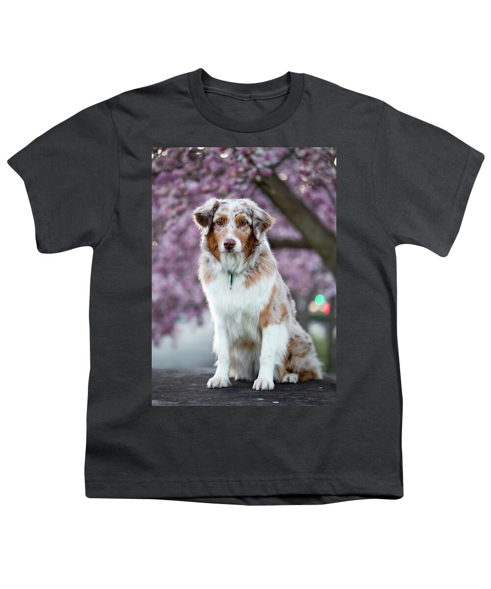  Youth T-Shirt featuring the photograph Aussie and Magnolias by Marlo Horne