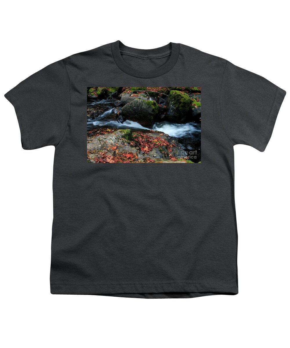 Oregon Waterfalls Youth T-Shirt featuring the photograph Autumn Fantasy Land 2- Sweet Creek Falls by Janie Johnson