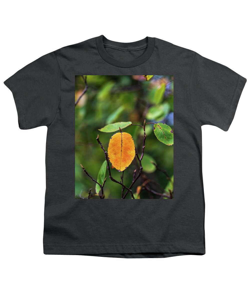 Fall Youth T-Shirt featuring the photograph Autumn is Coming by Amelia Pearn