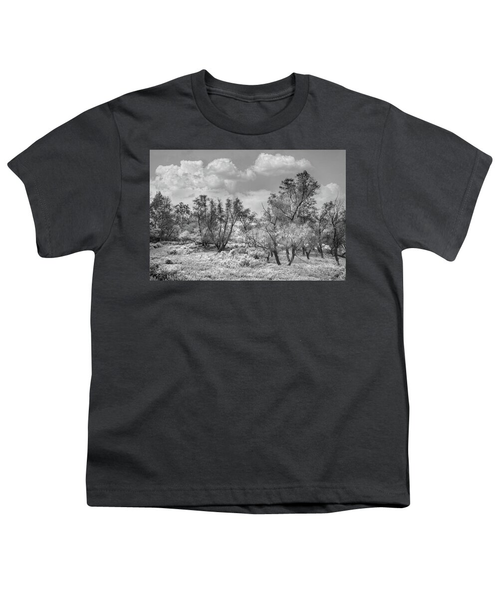 Carolina Youth T-Shirt featuring the photograph Autumn Sunlight in the Meadow in Black and White by Debra and Dave Vanderlaan