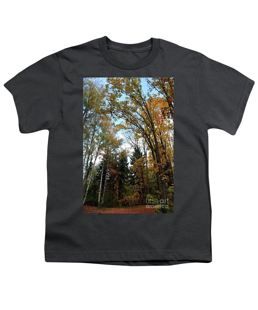 Nature Youth T-Shirt featuring the photograph Autumn Symphony In The Forest 03 by Leonida Arte