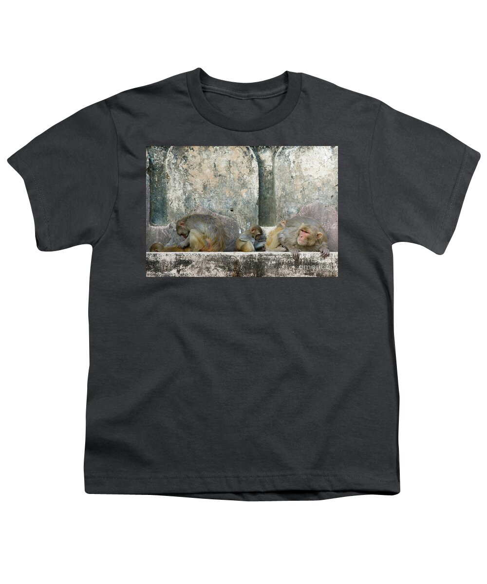 4pixels Youth T-Shirt featuring the photograph Baby Taj by David Little-Smith