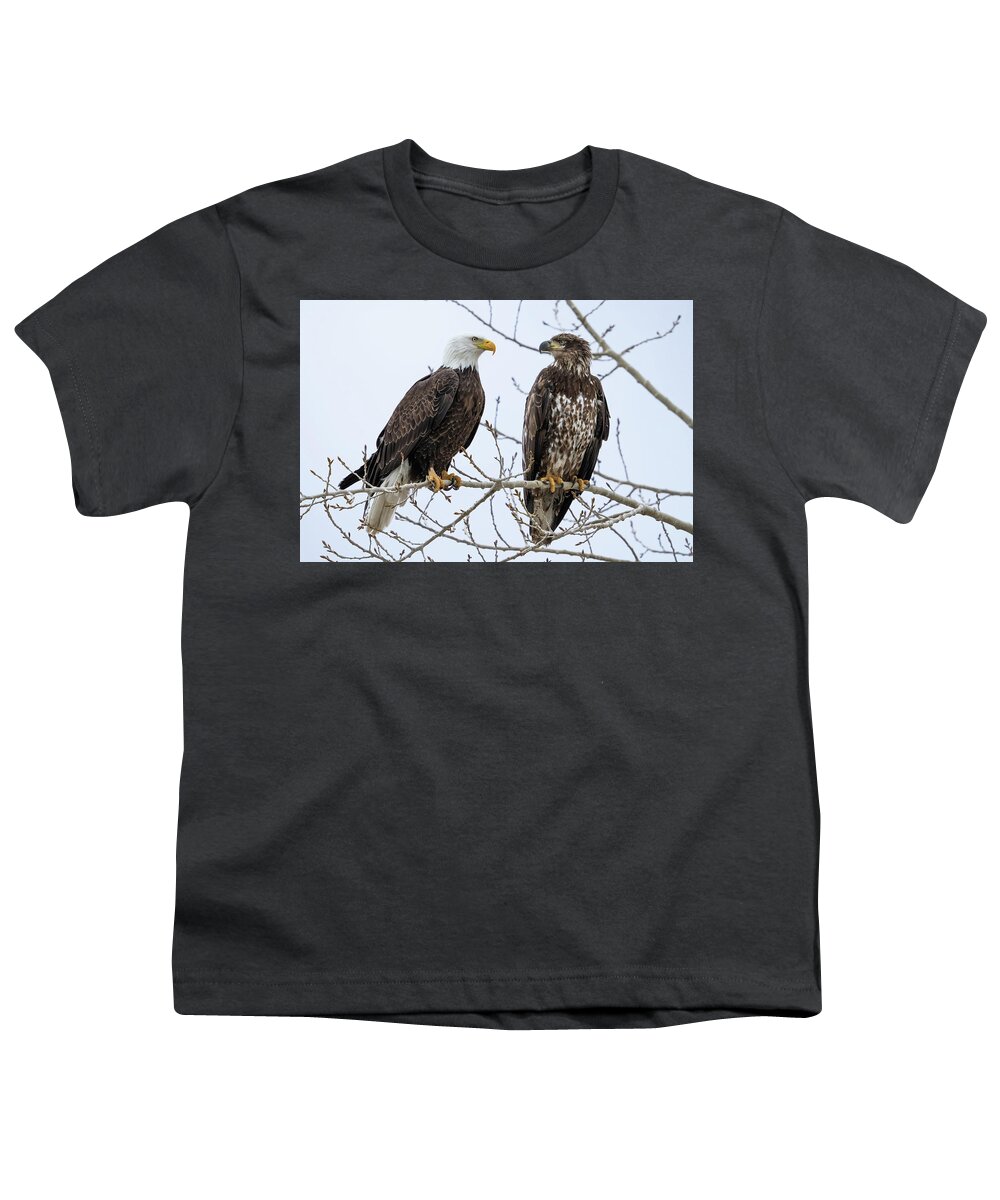 Bald Eagles Youth T-Shirt featuring the photograph Bald Eagles on Branch by Wesley Aston