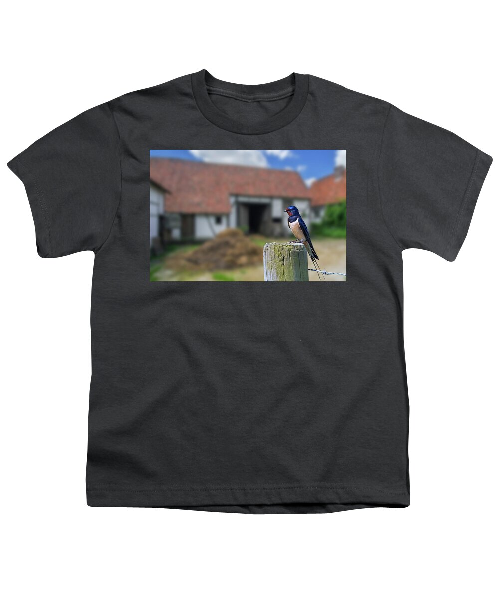 Barn Swallow Youth T-Shirt featuring the photograph Barn Swallow at Farm by Arterra Picture Library