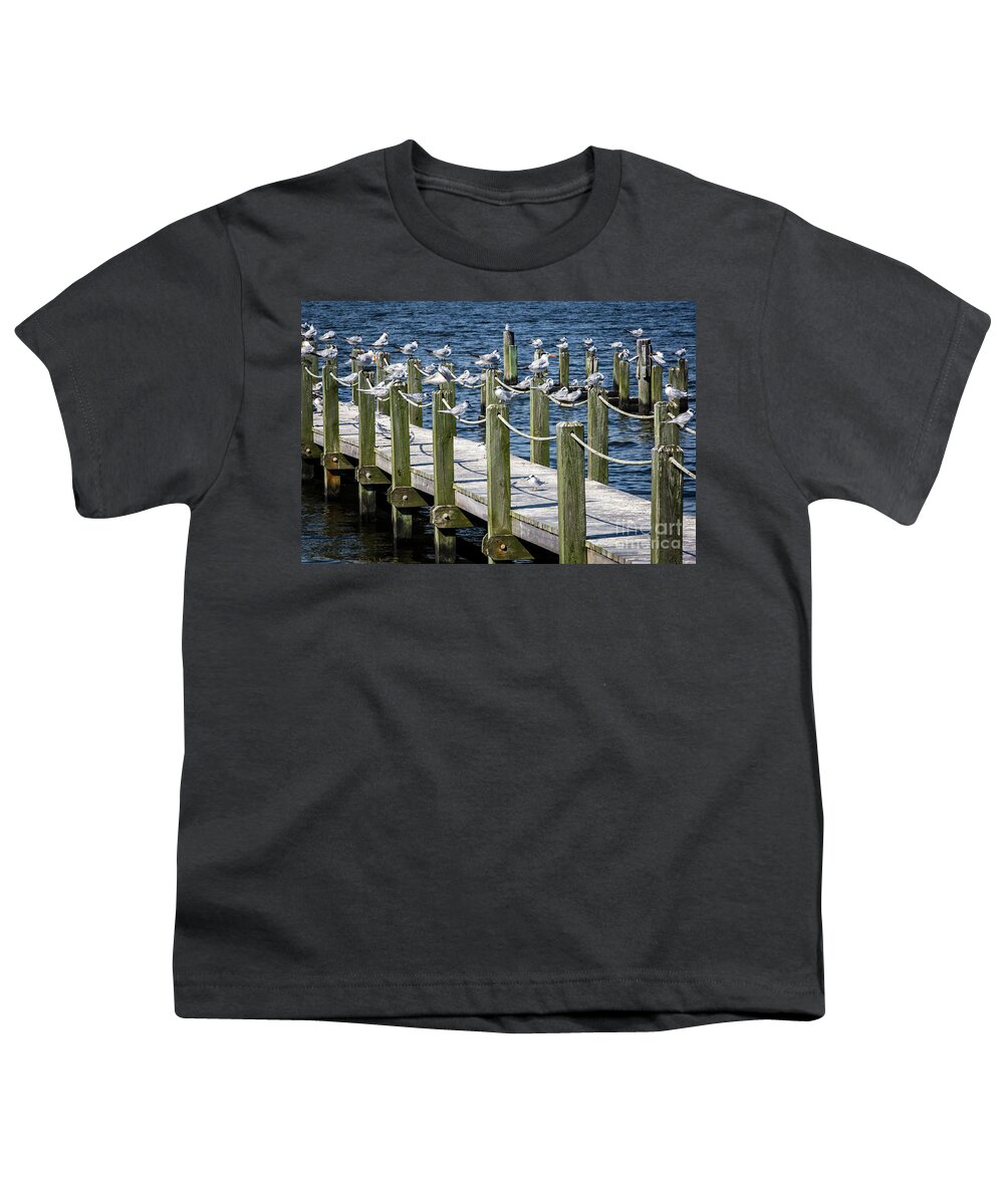 North Carolina Youth T-Shirt featuring the photograph Beach Birds by Erin Marie Davis