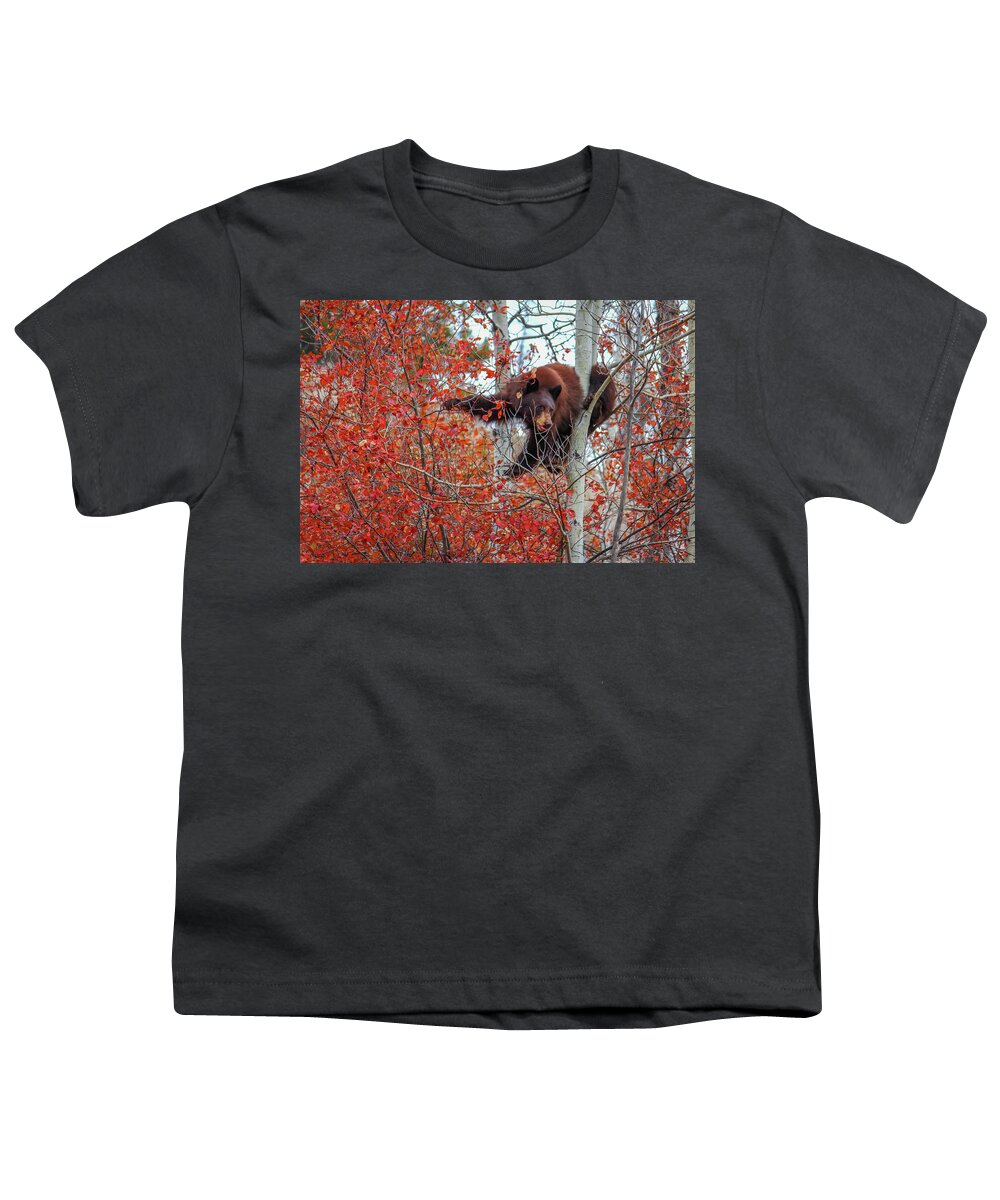 Bear Youth T-Shirt featuring the photograph Bear Cub by Cindy Robinson