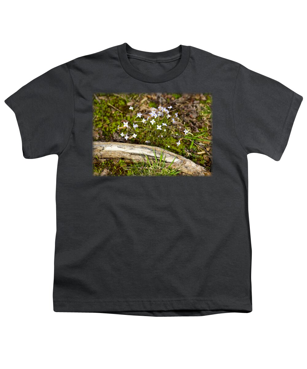 Wildflower Youth T-Shirt featuring the photograph Beautiful Bluet Flowers by Sandra Clark