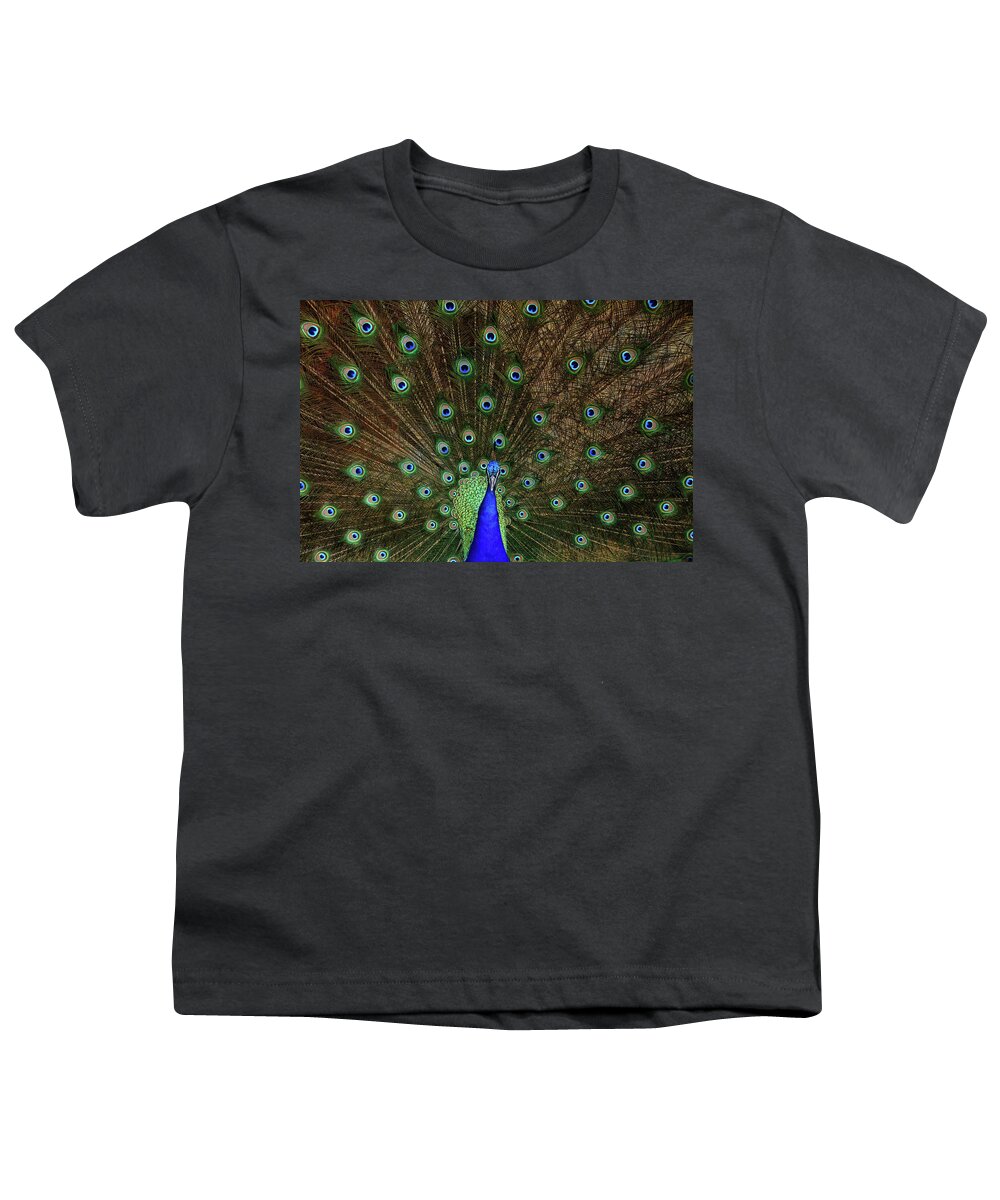 Peacock Youth T-Shirt featuring the photograph Beautiful Peacock by Larry Marshall