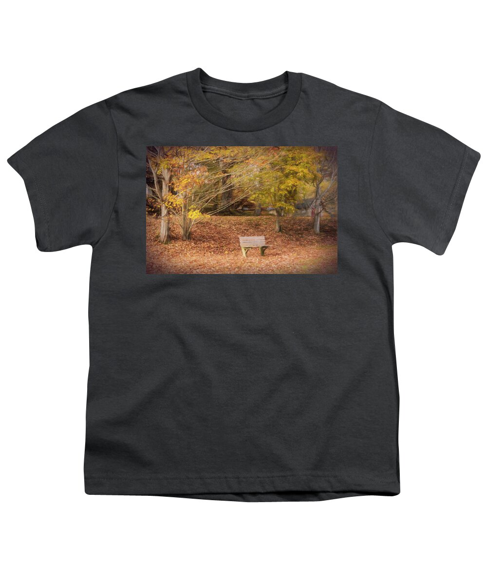 Barns Youth T-Shirt featuring the photograph Bench in the Fallen Leaves Creeper Trail in Autumn Fall Colors D by Debra and Dave Vanderlaan