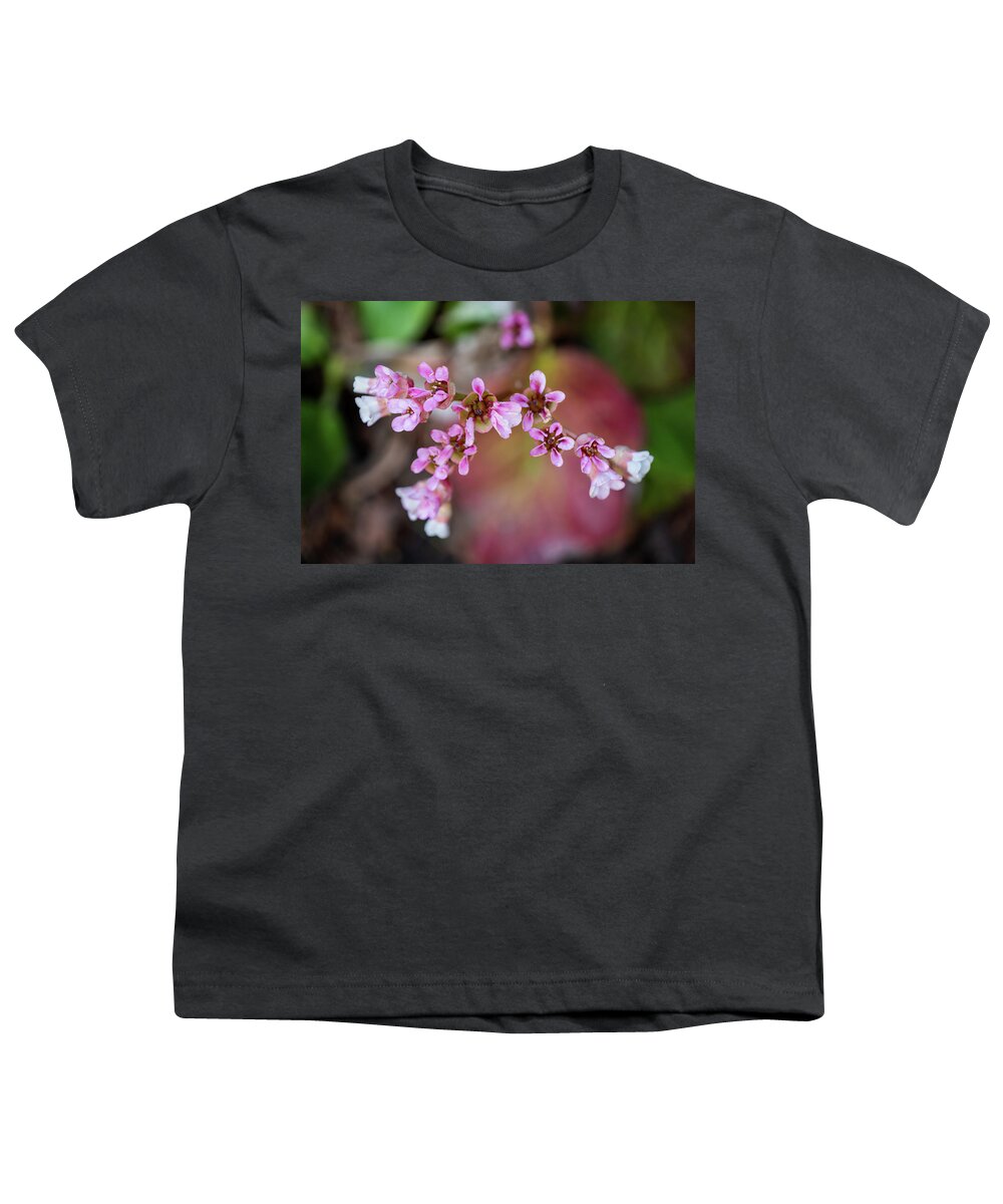 Bergenia Youth T-Shirt featuring the photograph Bergenia Ciliata Flowers by Artur Bogacki