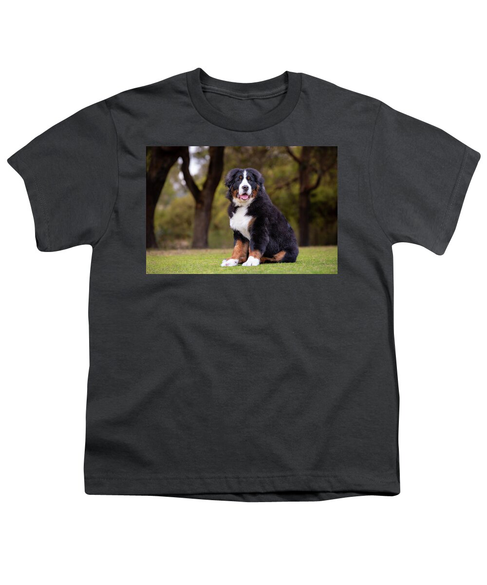 Bernese Mountain Dog Youth T-Shirt featuring the photograph Bernese Mountain Dog Puppy by Diana Andersen