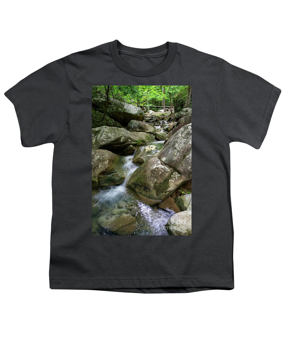Big Laurel Falls Youth T-Shirt featuring the photograph Big Laurel Creek 5 by Phil Perkins