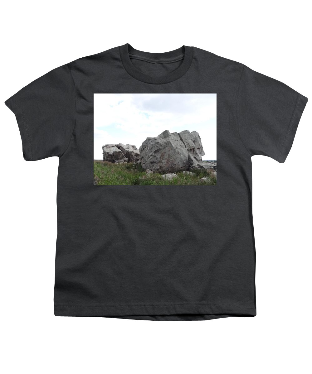 Glacial Erratic Youth T-Shirt featuring the photograph Big Rock 1 by Lisa Mutch