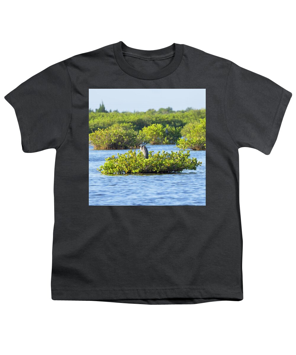 R5-2627 Youth T-Shirt featuring the photograph Bird Island by Gordon Elwell