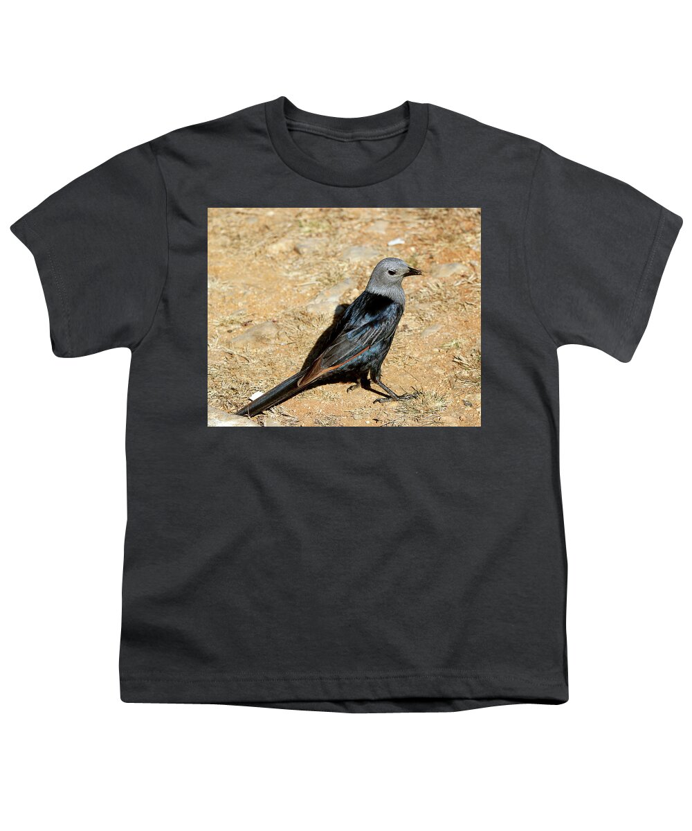  Youth T-Shirt featuring the photograph Birds 56 by Eric Pengelly