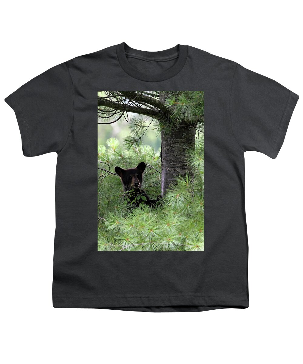 Tennessee Youth T-Shirt featuring the photograph Black Bear Cub At Cades Cove by Jennifer Robin