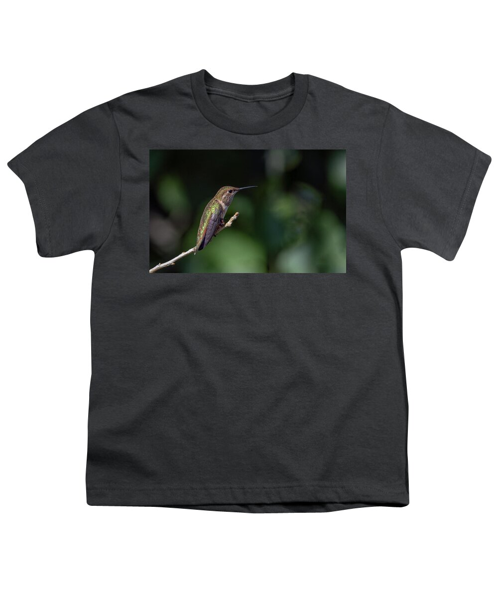 Black Chinned Hummingbird Youth T-Shirt featuring the photograph Black Chinned Hummingbird 6 by Rick Mosher