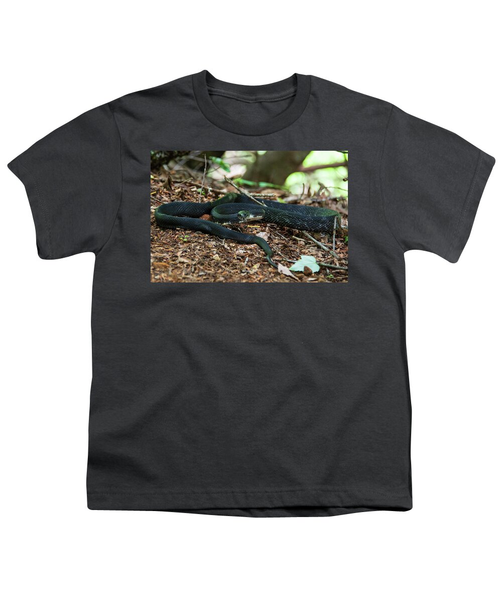 Brevard Youth T-Shirt featuring the photograph Black Rat Snake by Melissa Southern