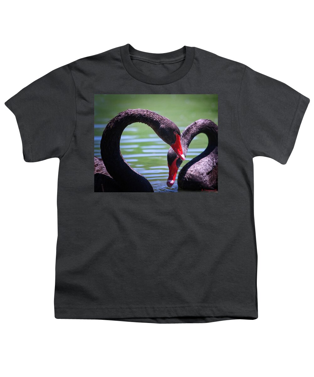 Bird Youth T-Shirt featuring the photograph Black Swans by Rene Vasquez