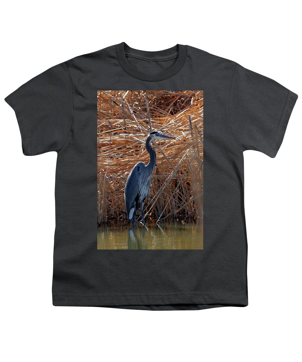 Usa Youth T-Shirt featuring the photograph Blue And Brown At Bosque by Jennifer Robin