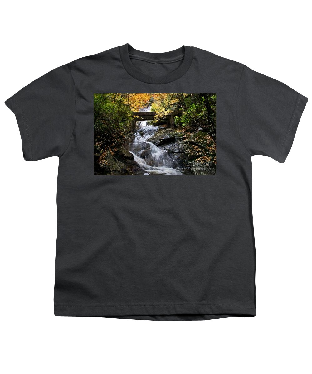 Wildcat Falls Youth T-Shirt featuring the mixed media Blue Ridge Wildcat Falls Bridge  by Sandi OReilly