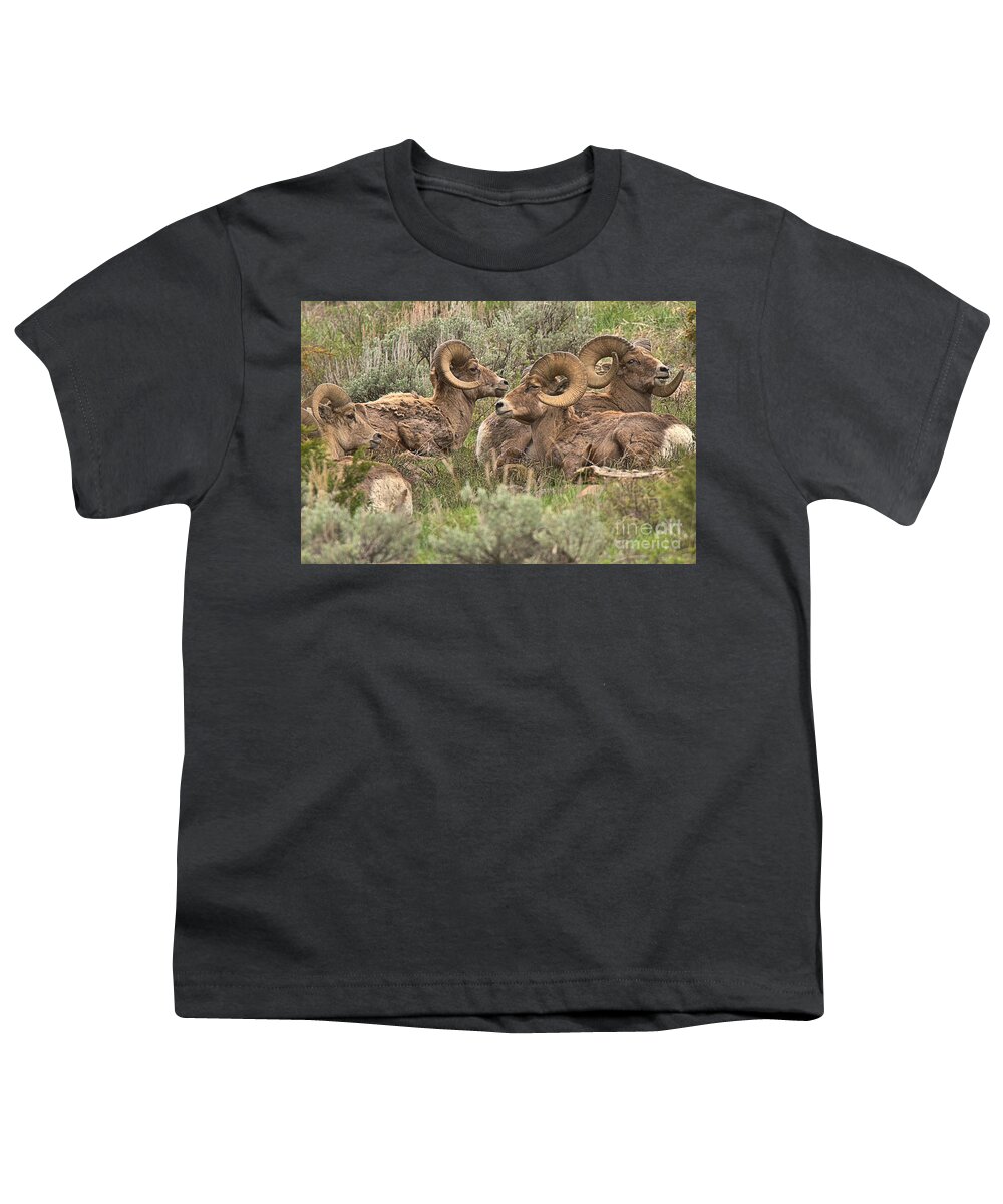 Bighorn Youth T-Shirt featuring the photograph Boys Club Nap by Adam Jewell