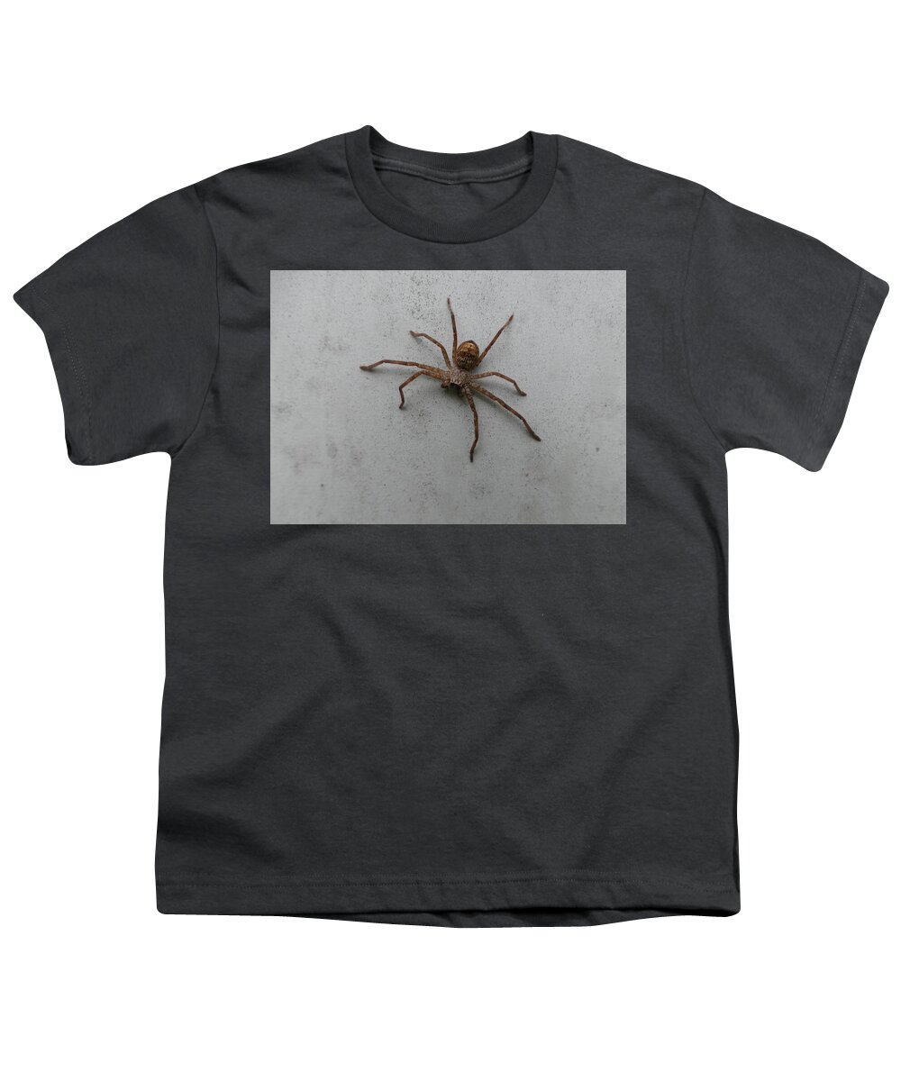 Animals Youth T-Shirt featuring the photograph Brown Huntsman Spider by Maryse Jansen