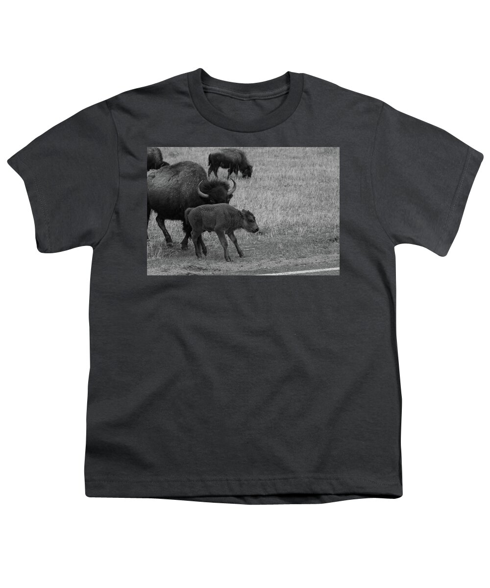 Buffalo Youth T-Shirt featuring the photograph Buffalo calf at Theodore Roosevelt National Park in North Dakota in black and white by Eldon McGraw