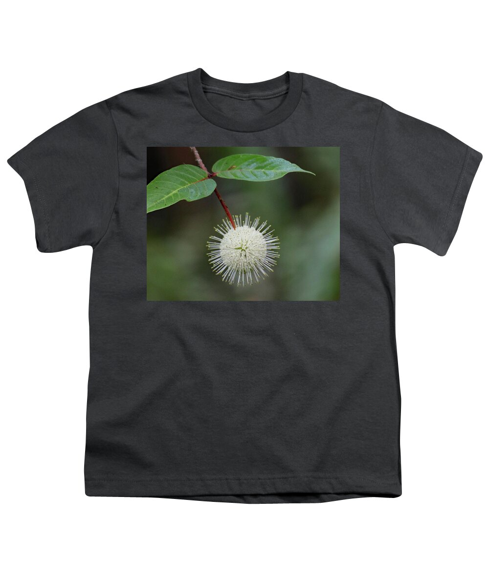 Button Bush Youth T-Shirt featuring the photograph Buttonbush Bloom by David T Wilkinson