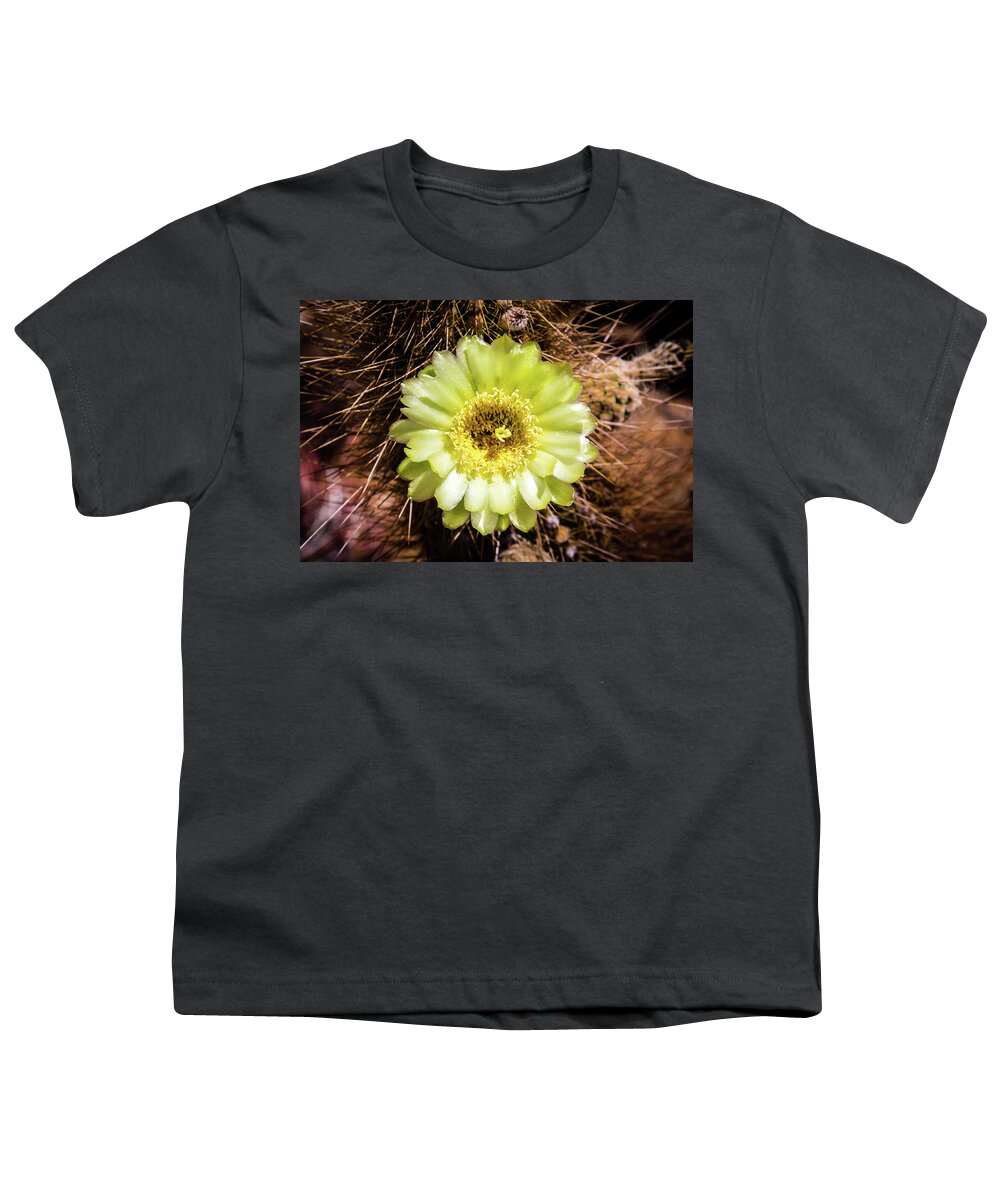 Canyon Youth T-Shirt featuring the photograph Cactus Bloom 2 by Craig A Walker